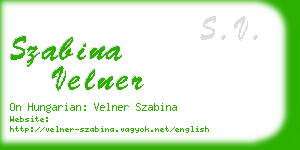 szabina velner business card